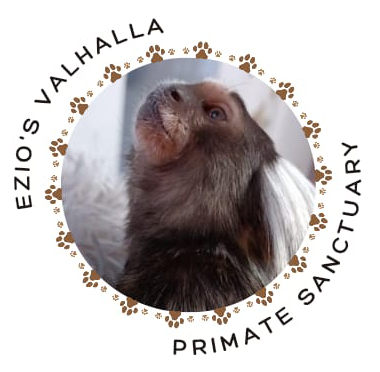 Ezios Valhalla Logo copy
